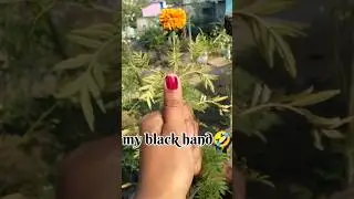 # trending#✋✋✋# my black hand #