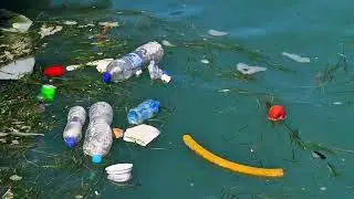 ENVIRONMENTAL ADVOCACY - ROBOSA, MALLARI, OFIANA, PICARDAL