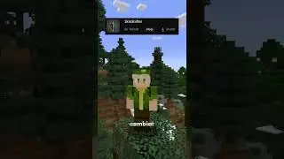 Mini Mod Reviews - SkinShifter #SkinShifter #minecraft #mod #java
