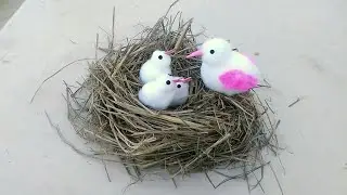 Make Bird with their little babies in nest from cotton. Gk craft