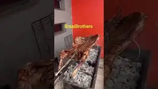 BraaiBrothers