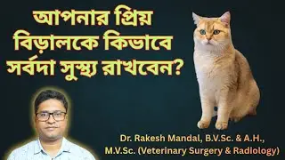 আপনার প্রিয় বিড়ালকে কিভাবে সর্বদা সুস্থ্য রাখবেন? CAT CARE AT HOME I