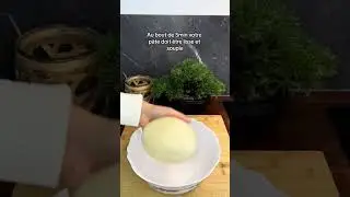Recette de Pains à l’Ail Fourrés au Fromage et Coulomiers Ultra Fondant 🥖🧄🫕