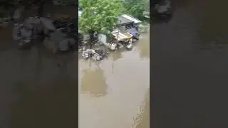 Koshi Nadi de badh ka kehar