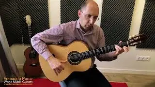 Arabic Music played on Guitar 