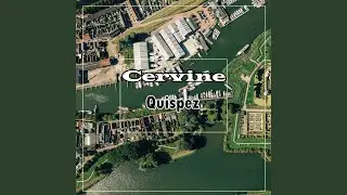 Cervine