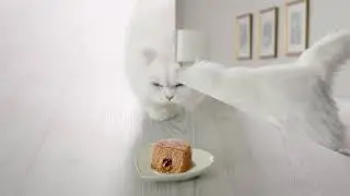 Try Fancy Feast Savory Centers Pate Wet Cat Food - Fancy Feast