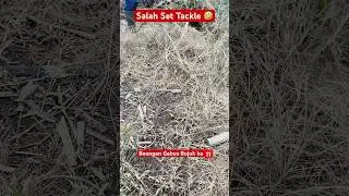Lagi Ngakalin beongan gabus ke 11 🤣 #casting #mancing #castinggabusbesar #fishing #gabussuper