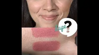 MAC Enchanted One vs Wet n Wild Bare it All | &iquest;Clon?