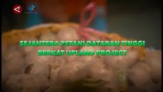 Sejahtera Petani Dataran Tinggi Berkat Upland Project | Indonesia Bergerak tvOne