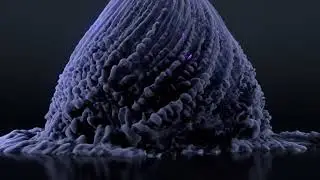 Medsolve Healthcare