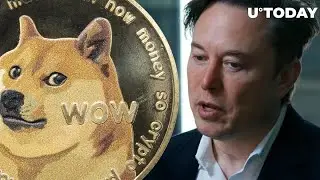 DOGE COIN BIG DUMP SOON | BITCOIN UPDATE IN HINDI | ALTCOIN NEXT MOVE | NEWS