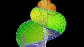 gridshell structure