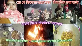 সবাই মিলে পিকনিক করলাম। 28 শে ডিসেম্বর শেষ পিকনিক করা হলো/   picnic vlog 🎄