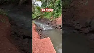 Goa village #goa #konkan #goakonkanb#offbeatstories