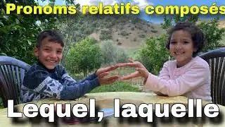 Laquelle lequel lesquels et lesquelles