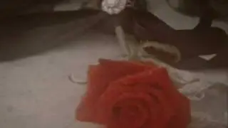 Kiss From A Rose- The Tale of the Phantom of the Opera
