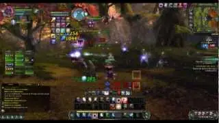 Rift - 1.6 Mage PVP
