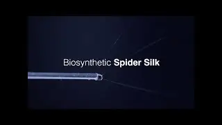 Biosynthetic spider silk