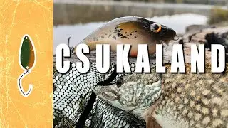 Wobbler kókler 4. rész - Wobbler csukának [ FARAGÁSTÓL A FOGÁSIG ]