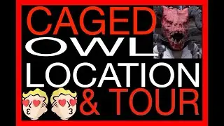CAGED OWL TOUR & LOCATION FALLOUT 76 WALKTHROUGH FO76 Fallout 1st Free item