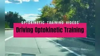 Vestibular Optokinetic Training | Driving in Traffic