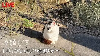鹿児島のけいきちライブ配信/雑談配信/おはにゃん☁️