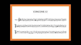 GUIA 13 Concone