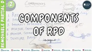 Components of Removable Partial Denture | Retention | Stability | Support | Dr Paridhi Agrawal