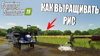 FARMING SIMULATOR 25. NEW RICE CULTURE. HOW TO GROW RICE!?