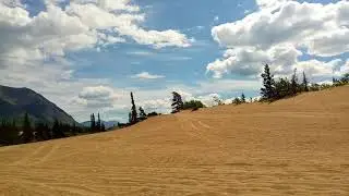 Юкон, Канада, пустыня Каркросс (Carcross Desert). Самая маленькая пустыня в мире.