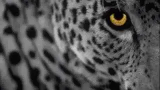 Minilogue - The Leopard (Extrawelt Remix)