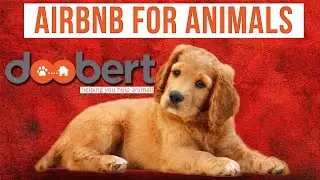 AIRBNB FOR ANIMALS | Doobert | Pawareness Podcast No. 79
