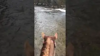 Crossing the river