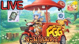 [LIVE] Ragnarok M: Classic การมามาส 3 อะไรจะหมดตลาดก่อน วงในวงนอกวงเวียน