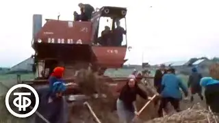 День работника сельского хозяйства. Первые всходы (1976)