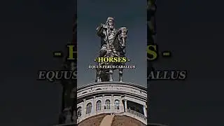 Horses of War!