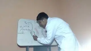 CASO CL&Iacute;NICO TORCION TESTICULAR 