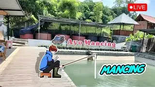 【MALAM MINGGU MANCING】Udahan jadi nelayannya (gweh ketagihan jir)【Vtuber Indonesia】#live