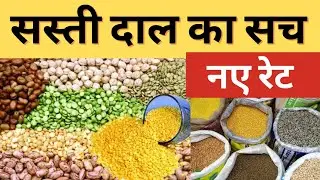 Wholesale Pulses Market In Delhi | Cheapest Dal Market | Pulses Business | सस्ती दालों का बाज़ार 