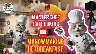 When a Cat Oversleeps and Becomes a Chef| Manow&rsquo;s Breakfast Time|Manow the Cat Cooking Her Breakfast