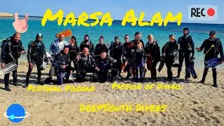 Marsa Alam diving