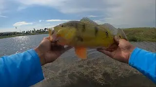 THE POND BITE WAS HOT! Cape coral freshwater fishing September 2023