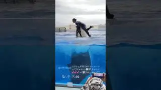 Swimming with dolphins 41#beach #music #edm #games #shorts #trending #memes @ArbindNepal897
