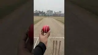 From the Pitch to Your Screen: Leather Ball Action #cricket #cricketlover #cricketshorts #ycc