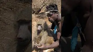 Hadzabe tribe Hunting Baboon 🤩 it's Amazing tradition.