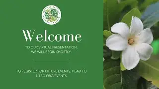 Webinar: Conservation and Restoration of Endangered Trees