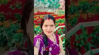 #song are mo kania nei jibi tote🥀🥀