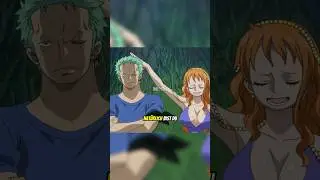 NAT&Uuml;RLICH BIST DU DAS 🗣️😂 #onepiece #anime #ruffy #luffy #nami #zorro #sanji #momonosuke #raizo