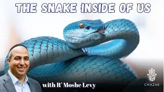 The Snake Inside of Us | Rabbi Moshe Levy
